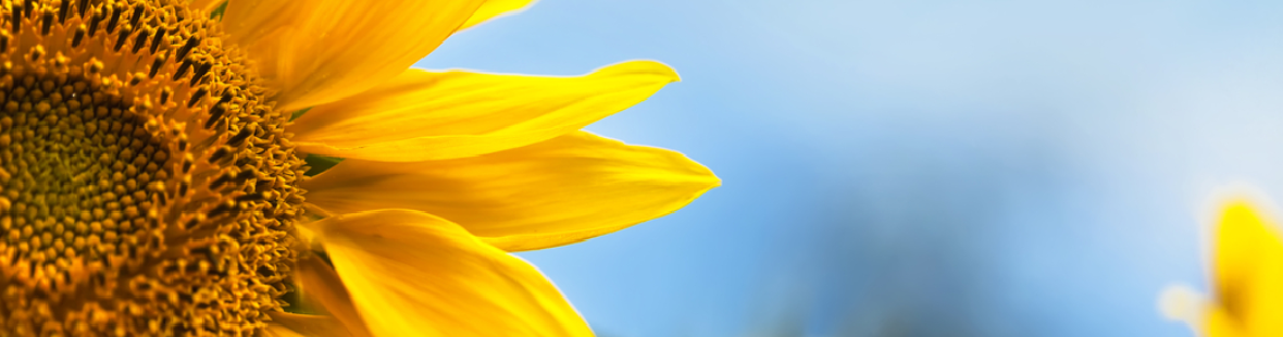 Plasmozytom / Multiples Myelom